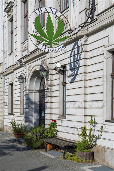 Hemp museum, hemp museum, weed, marijuana, Nikolaiviertel quarter, Alexanderplatz, Berlin, Germany,
