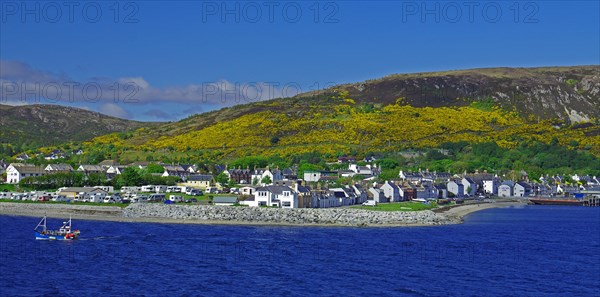 Harbour and a fishing boat, gorse-covered mountains, Ullapool, Scotland Great Britain