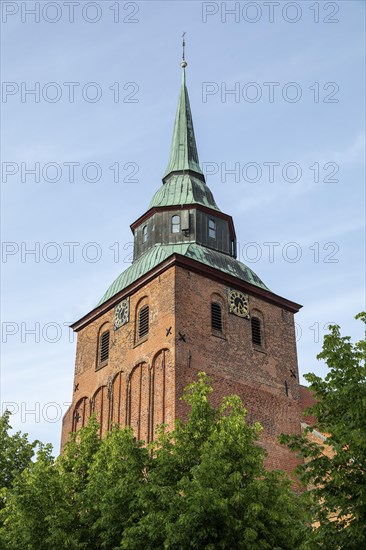 St Mary's Church, Boizenburg, Mecklenburg-Western Pomerania, Germany, Europe