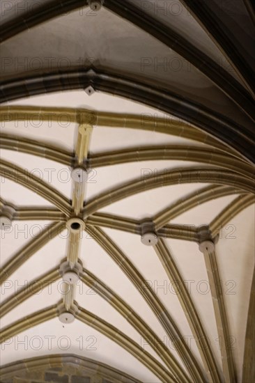 The church Iglesia de San Anton at the river Nervion in Bilbao, Gothic ceiling with ribbed vault