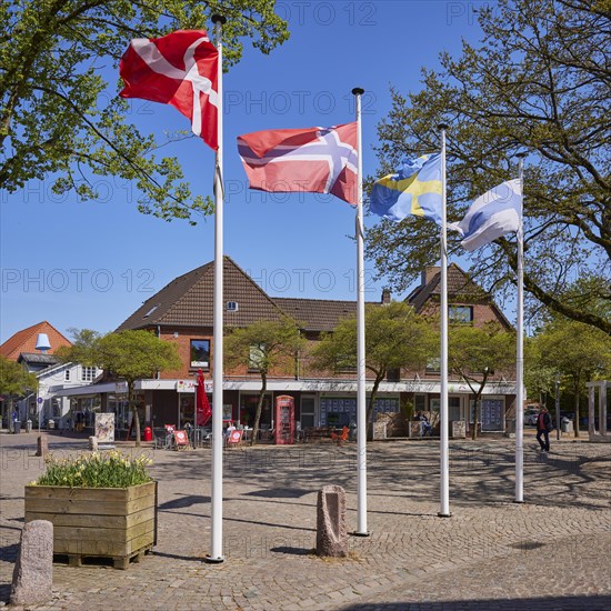 Scandinavian flags on the town hall square in Niebuell, Nordfriesland district, Schleswig-Holstein,