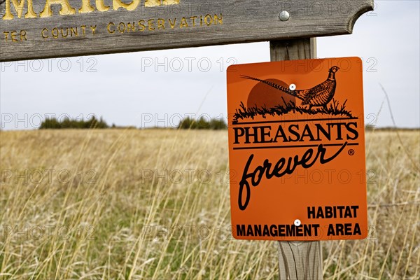 Fort Dodge, Iowa, Whispering Wings Marsh, a wetlands habitat conservation area where pheasants and