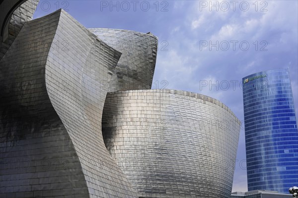 Guggenheim Museum Bilbao on the banks of the Nervion River, architect Frank O. Gehry, Bilbao, Large