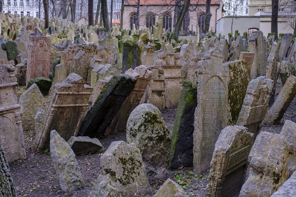 Gravestones, old Jewish cemetery, Jewish Museum, Josefstadt, Jewish Quarter, Prague, Bohemia, Czech