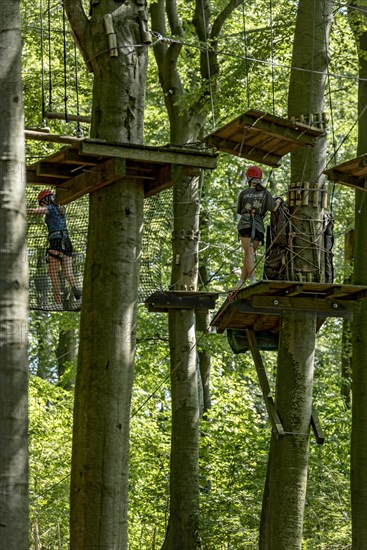 Group of young woman, girls climbing in the climbing forest, platforms, ropes, rope ladders, beech