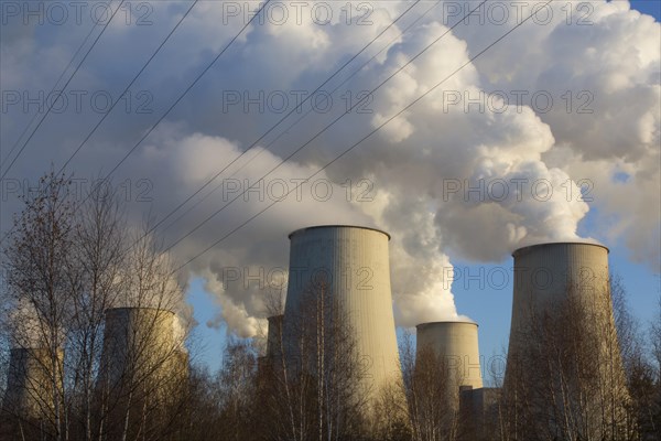 Steam rises from the cooling towers of the Vattenfall power plant in Jaenschwalde on 9 December