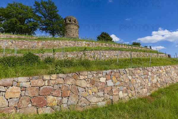 Winery at the Goldener Wagen. The Bismarck Tower in Radebeul, also known as the Bismarck Column, is