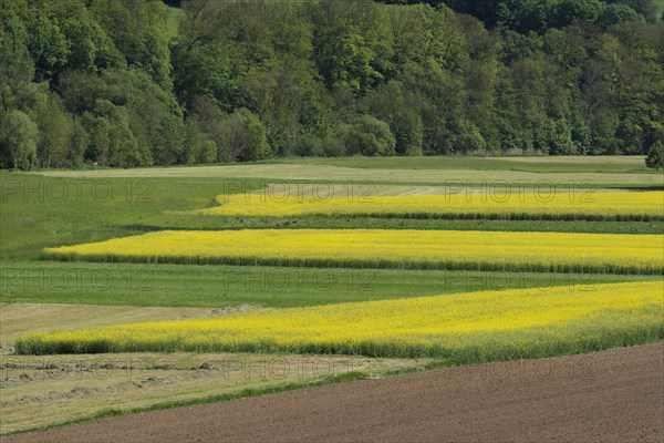 Middle Jagst valley in spring, May, river valley, river, Jagst, Baechlingen,
