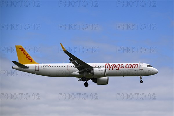 Pegasus aircraft, Airbus A321neo, TC-RBH, Zurich Kloten, Switzerland, Europe