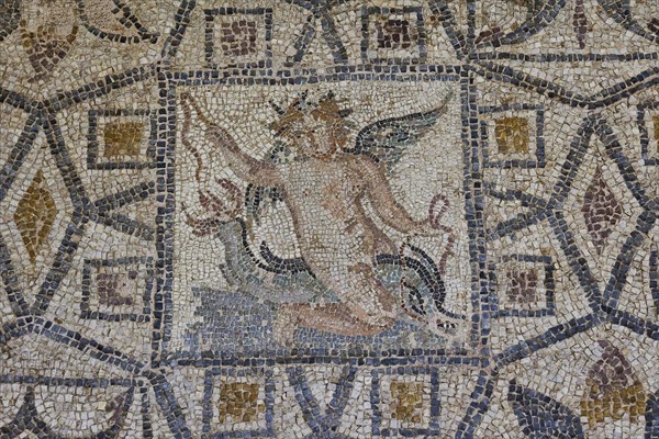 Eros riding a dolphin, Antique mosaic with a winged mythological figure in the centre, surrounded