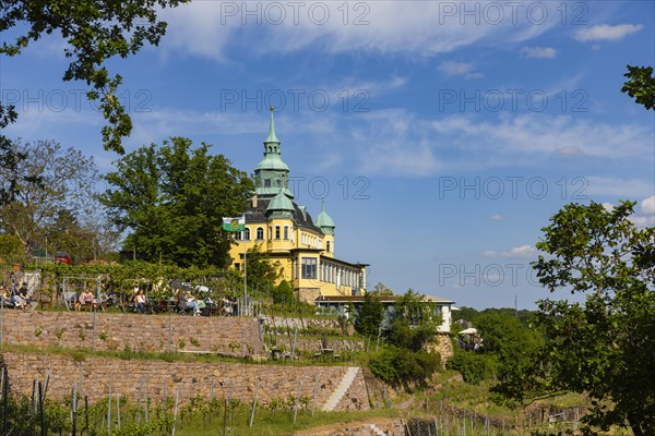 Weingut am Goldenen Wagen. The Spitzhaus is a former summer residence in the Saxon town of Radebeul
