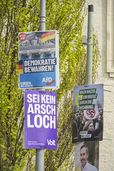 Volt, AfD, The Greens, election posters for the 2024 European elections, Berlin, Germany, Europe