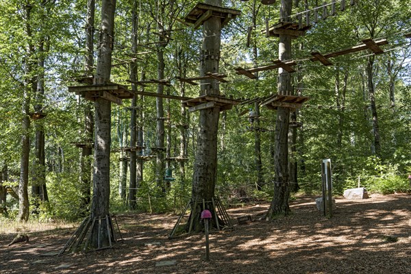 Platforms, ropes, rope ladders, suspension bridges, beech trees in the climbing forest, beech
