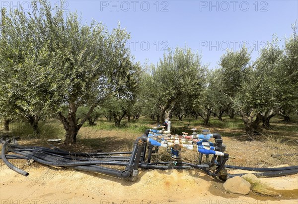 Irrigation irrigation distributor irrigation system water supply with high water consumption of for