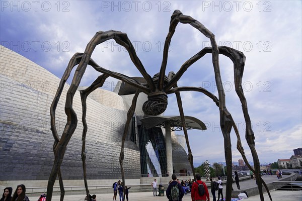 Guggenheim Museum Bilbao on the banks of the river Nervion, Architect Frank O. Gehry, Bilbao, A