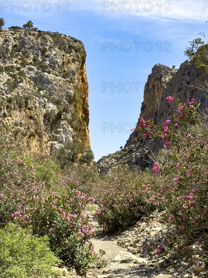 View of gorge with path hiking trail for trekking in Agiofarago gorge of the saints on south coast
