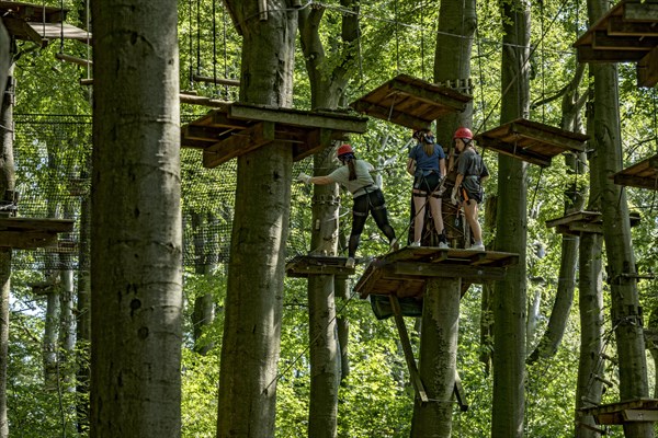 Group of young woman, girls climbing in the climbing forest, platforms, ropes, rope ladders, beech