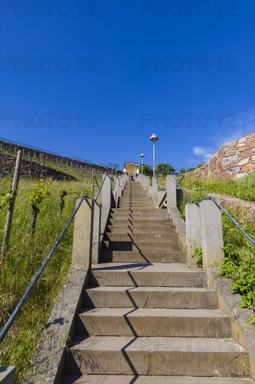Winery at the Goldener Wagen. Spitzhaustreppe, Radebeul, Saxony, Germany, Europe