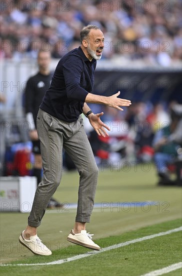 Coach Pellegrino Matarazzo TSG 1899 Hoffenheim engaged on the sidelines, gestures, gesture, PreZero