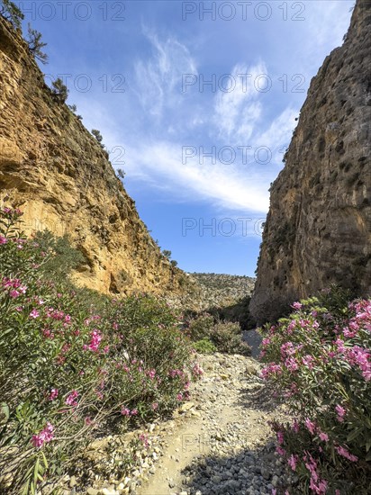 View of gorge with path hiking trail for trekking in Agiofarago gorge of the saints on south coast