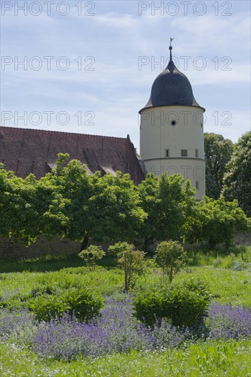 Monastery garden in Schoental, herb garden, herbal pharmacy, Way of St James, monastery pharmacy,