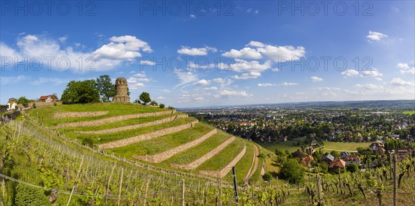 Winery at the Goldener Wagen. The Bismarck Tower in Radebeul, also known as the Bismarck Column, is