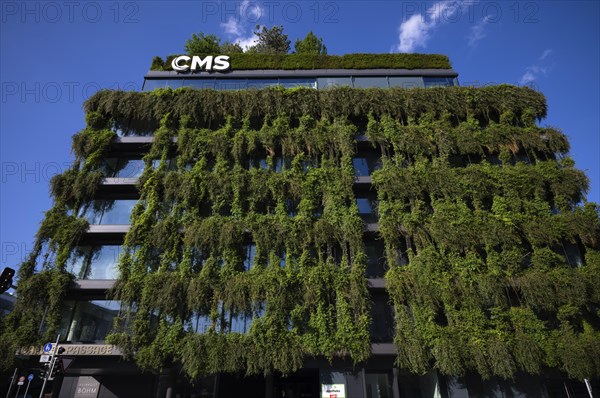 Climate-neutral facade greening on the new building, office building of CMS Hasche Sigle, Calwer