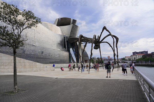 Guggenheim Museum Bilbao on the banks of the river Nervion, architect Frank O. Gehry, Bilbao,