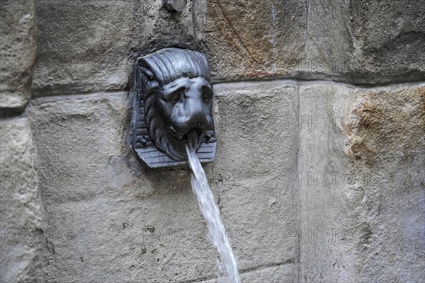 Bilbao, Basque Country, Spain, Europe, Close-up of a lion's head as a gargoyle on a stone wall,