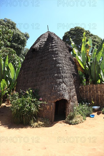 South Ethiopia, among the Dorze people, typical hut, house, Ethiopia, Africa