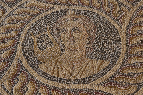 Terpsichore, the Dancing Beauty, the Muse of Dance, Lyre, One of the Nine Muses, Antique mosaic