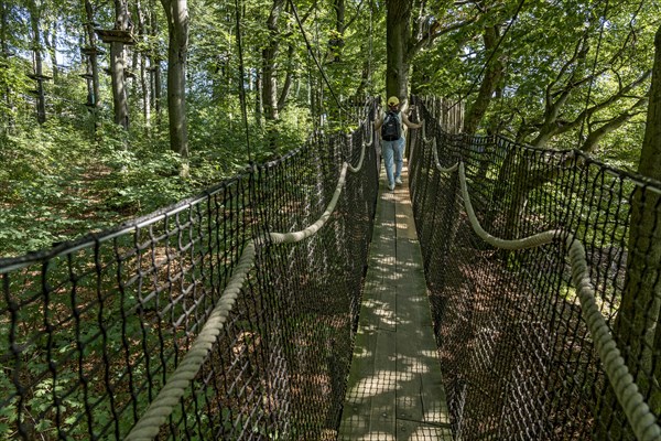 Woman on suspension bridge treetop path and climbing forest, platforms, ropes, rope ladders, beech