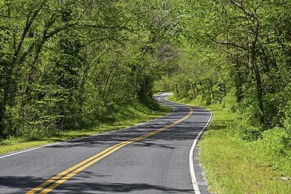 The legendary Route 66 winds its way through the forests, Kansas