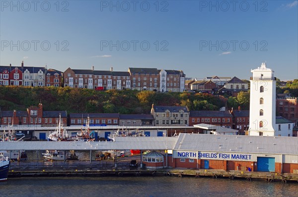 Residential houses, lighthouse and old warehouses at the harbour of Tynemouth, ferry trip Amsterdam