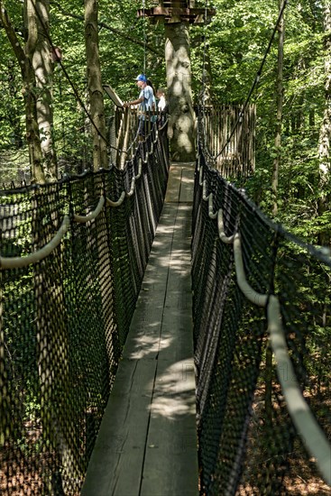 Sporty family, tourists in treetop path, suspension bridges, ropes, nets, beech forest, family