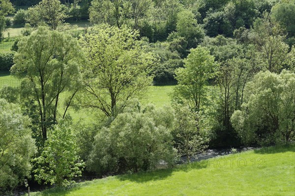 Spring in Buehlertal near Unterscheffach, Buehler, river, May, Schwaebisch Hall, Hohenlohe,