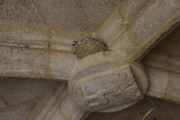 Relief on the corner of a building shows a deer under a tree, traces of erosion, swallow's nest,