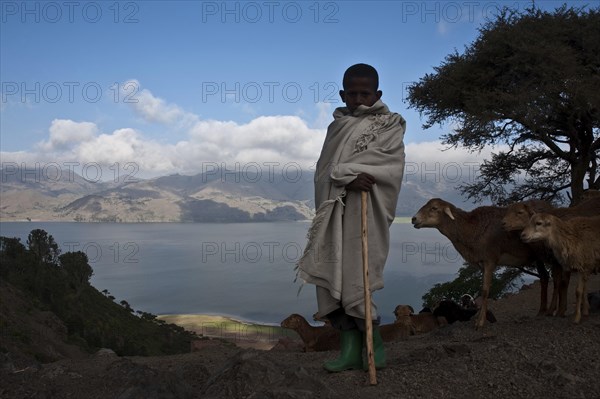 Boy working as a shepherd, Lake Hashenge in the background, Tigray state, Ethiopia. The boy is