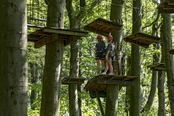 Group of young woman, girls climbing in the climbing forest, platforms, ropes, rope ladders, beech