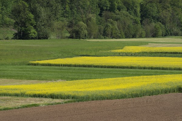 Middle Jagst valley in spring, May, river valley, river, Jagst, Baechlingen,