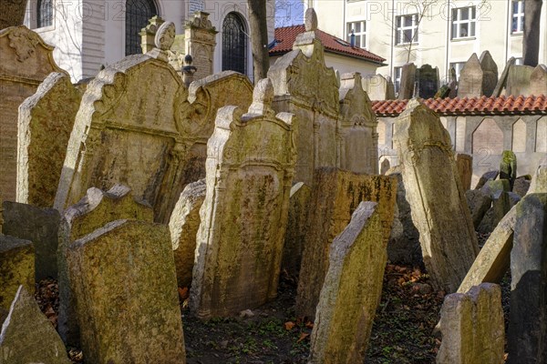 Gravestones, old Jewish cemetery, Jewish Museum, Josefstadt, Jewish Quarter, Prague, Bohemia, Czech