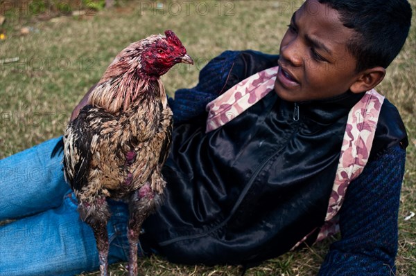 After the cock fighting. The cock and his owner's son at Ambositra Madagascar . The cock has lost