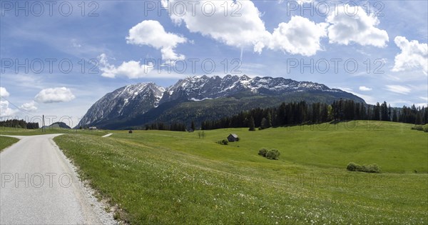 Meadow at the edge of the forest, behind the Grimming, Salzkammergut cycle path, panoramic view,