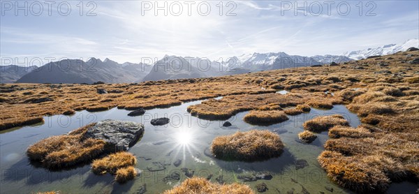 Small lake on the high plateau of the Gurgler Seenplatte, glaciated mountain peaks in the