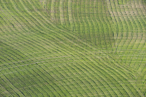 Traces on a cultivated area, Crete Senesi, Province of Siena, Tuscany, Italy, Europe