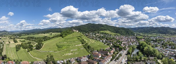 Aerial view, panorama of Staufen Castle, on a vineyard, Schlossberg, Staufen im Breisgau,