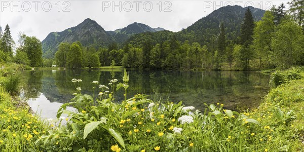 Christlessee, a mountain lake in the Trettachtal valley, near Oberstdorf, Oberallgaeu, Allgaeu,