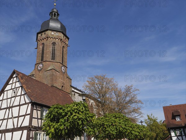 Traditional tower and half-timbered house surrounded by trees under a blue sky, historic