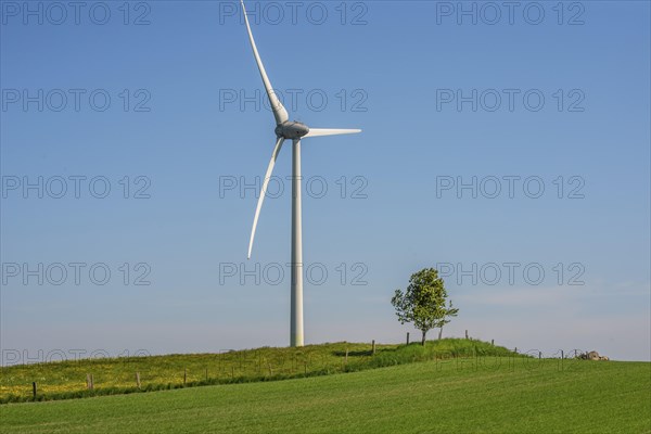 Wind turbine and lone tree in green landscape against blue sky at Smedstorp, Tomelilla