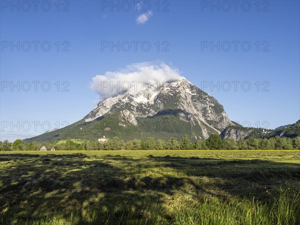 Freshly mown meadow, with the Grimming massif in the background in the morning light, near Irdning,